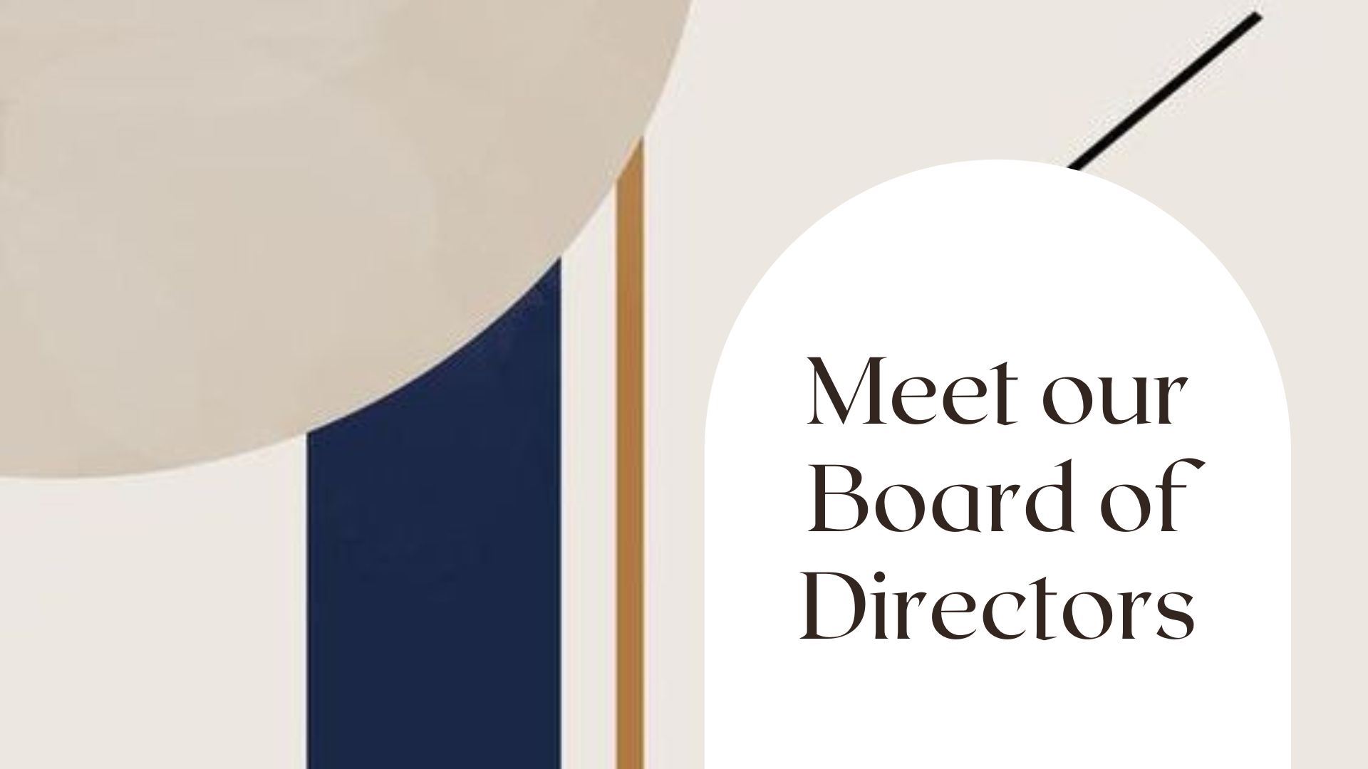 Meet our board of directors.  