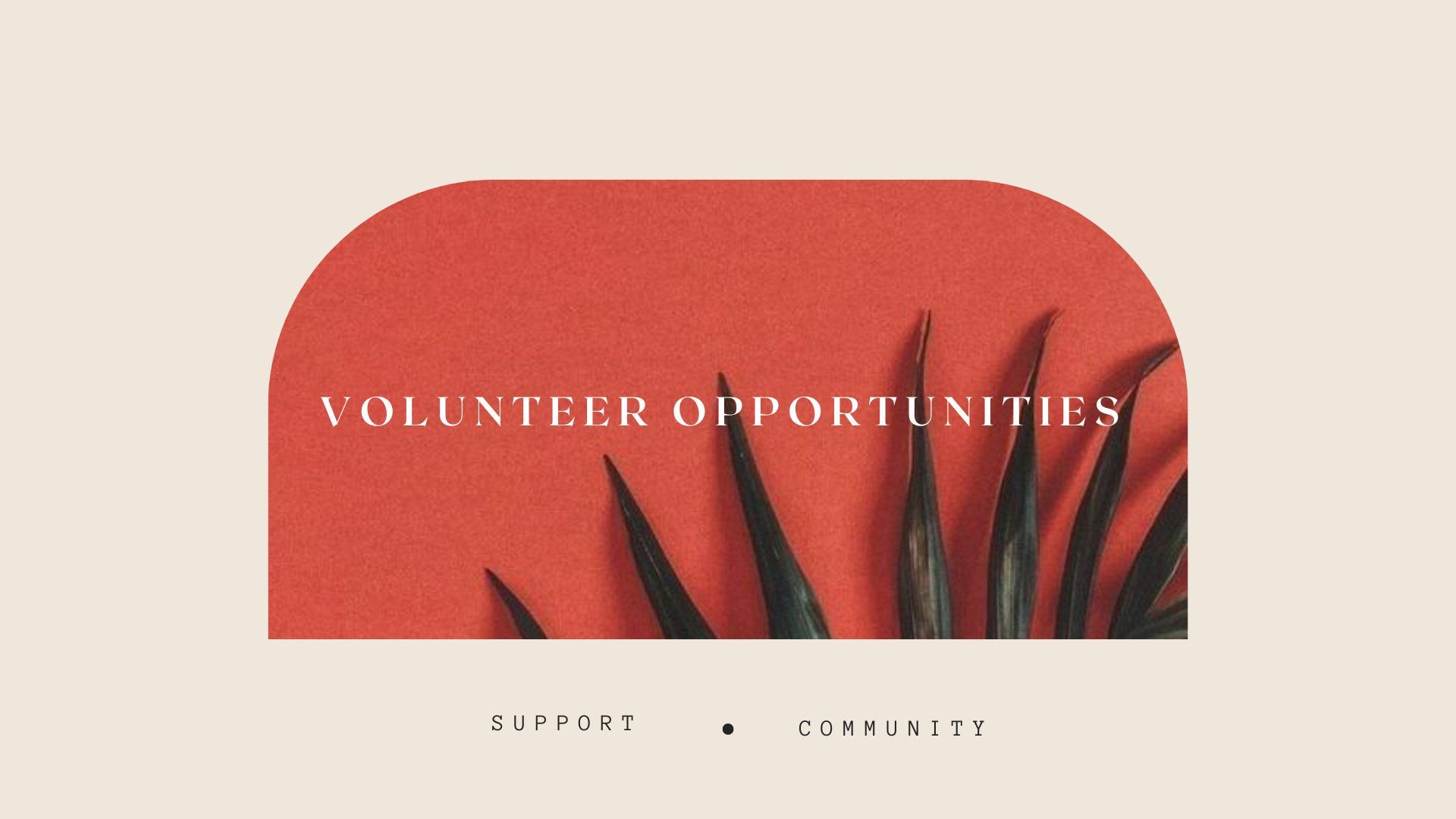 Volunteer opportunities.  Support. community.  Image of plants against orange wall.